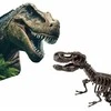 SES Creative – Kasinėjimas – T-Rex ir skeletas – (S25092)
