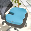 LEITZ Ergo Cosy Orthopedic Chair Cushion cyan