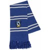 CERDÁ Harry Potter Ravenclaw scarf