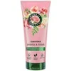 Herbal Essences Rosa Conditioner kondicionierius, 250 ml