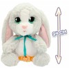 Baby Paws 24 cm - Zuikis