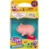 Little Live Pets – Needees Asorted (26654)