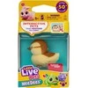 Little Live Pets – Needees Asorted (26654)
