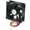 Ventiliatorius StarTech FAN6X25TX3 H