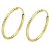 Laikrodis moterims Lotus AU00001/15