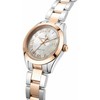 Laikrodis LUCIEN ROCHAT R0453114503