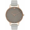 Laikrodis OLIVIA BURTON OB16AM87. Kwarcowy, Kolor pilka. Kobieta.