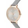 Laikrodis OLIVIA BURTON OB16PQ03. Kwarcowy, Kolor pilka. Kobieta.