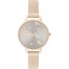Laikrodis OLIVIA BURTON OB16PQ04. Kwarcowy, Kolor pilka. Kobieta.