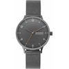 Laikrodis SKAGEN DENMARK modelis RIIS