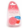 Vaselina Gal Perfumada 13ml