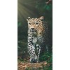 Leopardo rašto vonios rankšluostis, paplūdimio rankšluostis 70*140cm