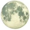 Lipdukas MOON šviečia tamsoje