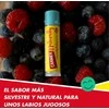 Carmex Naturally Moisturizing Lūpų balzamas Stick 4., 25 g
