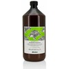 Davines Natural Tech Renewing Šampūnas atnaujinantis šampūnas, 1000 ml