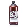 Davines Natural Tech Replumping Šampūnas, 1000 ml
