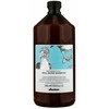 Davines NATURALTECH Well-Being Šampūnas geros savijautos šampūnas, 1000 ml