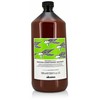 Davines Natural Tech Renewing Conditioning Treatment, 1000 ml