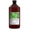 Davines Natural Tech Renewing Conditioning Treatment, 1000 ml