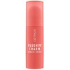 Catrice BLUSHIN CHARM multipurpose stick #020-Coral Cutie 5.50 gr