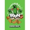 Minecraft Boom Creeper super minkštas poliarinis flisinis pledas 100*150cm