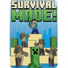 Mojang Studios Minecraft polar blanket