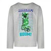 „Minecraft“ vaikiški ilgomis rankovėmis marškinėliai, 10 metų