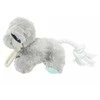 Trixie Berniukas virvė, pliušinis, 24 cm