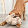 Trixie Žaislas Pluszowa šuniui Trixie Poliesteris pliušinis Koala 25 cm