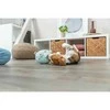 Trixie TX-36164 Žaislas Pliušinis JUNIOR MIŚ 14cm