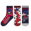 „Miraculous Ladybug“ vaikiškos kojinės 31/34