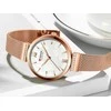 Laikrodis WOMEN'S WATCH G. ROSSI - 10411A-6F3 ON PASK (zg714g) + BOX