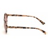 Akiniai WEB EYEWEAR WE0266-5155S. Akiniai przeciwsłoneczne, Kolor ruda. Kobieta.