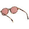 Akiniai WEB EYEWEAR WE0266-5155S. Akiniai przeciwsłoneczne, Kolor ruda. Kobieta.