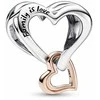 Moteriški amuletai Pandora 782642C00