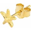 Biżuteria RADIANT RY000141. Kolczyk do piercingu, Kolor auksinė. Kobieta.