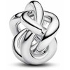 Pandora 372341