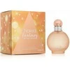 Britney Spears Fantasy Naked EDT tualetinis vanduo moterims, 100 ml