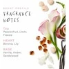 Kylie Minogue Darling 2021 EDP parfumuotas vanduo moterims, 30 ml