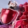 Kvepalai moterims Lancome La Vie Est Belle Elixir EDP, 50 ml