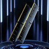 RAM Lexar | 8 GB | DDR5 | 5600 MHz | Kompiuteris/serveris | Registracijos Nr. | ECC Nr.