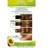 Garnier Nutrisse Crème maitininantis Color 6.41 Intense Brown