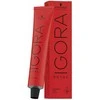 plaukų dažai Schwarzkopf Igora Royal TakeOver Nudes 9-481 Skirtas šviesiems plaukams rusvai gelsvas Raudona Ash 60ml