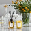 Acqua Di Parma Insieme - diffuser, 180 ml