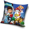 Pagalvės užvalkalas „Paw Patrol Squad“ 40x40 cm, aksominis