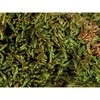Trixie Moss, substratas drėgniems terariumams, 200 g