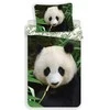 Patalynė bawełniana 140x200 Meškiukas Panda pandy liście 6435 poszewka 70x90 bear