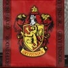 CERDÁ Harry Potter Gryffindor premium beach bag