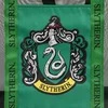 CERDÁ Harry Potter Slytherin premium beach bag