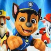 Paw Patrol Good Pups paplūdimio rankšluostis pončas 55x110 cm (greitai džiūstantis)